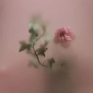 Meet your Posher, Aisha